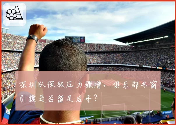 深圳队保级压力骤增,俱乐部冬窗引援是否留足后手?
