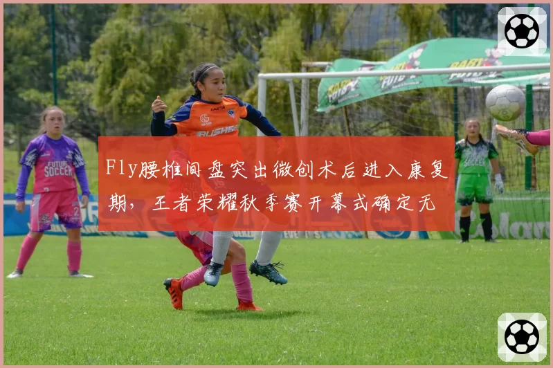 Fly腰椎间盘突出微创术后进入康复期，王者荣耀秋季赛开幕式确定无法登场